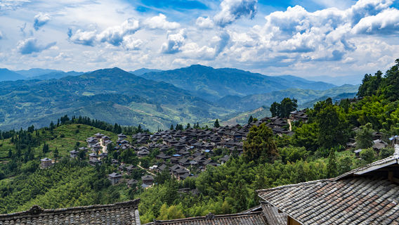 Bazaar Shooter Tribe