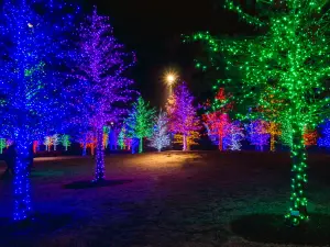 Vitruvian Park