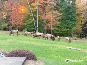 Elk Country Visitor Center (Keystone Elk Country Alliance)