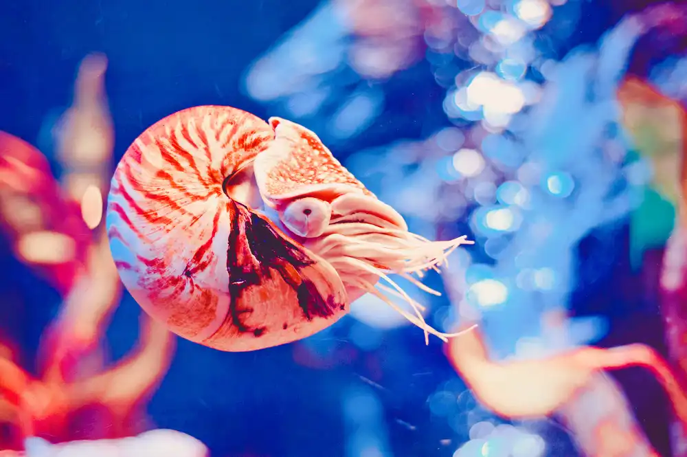 Hotel dekat Bangkok Aquarium