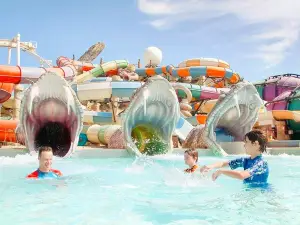 Popular Water Fun Attractions in Abu Dhabi