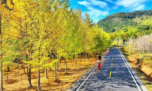 Dakou National Forest Park