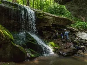 Otter Lake Waterfalls
