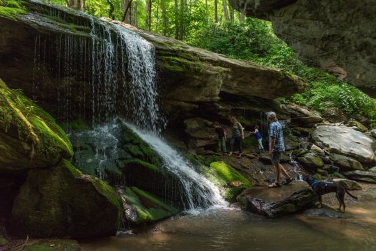 Otter Lake Waterfalls