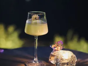 Oasis綠洲rooftop屋頂酒吧
