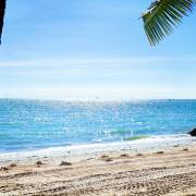 ธรรมชาติและสัตว์ป่า