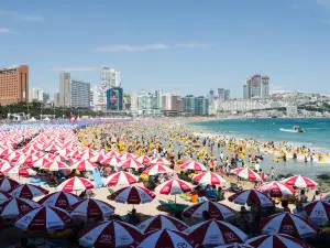 대한민국 물놀이 베스트 16
