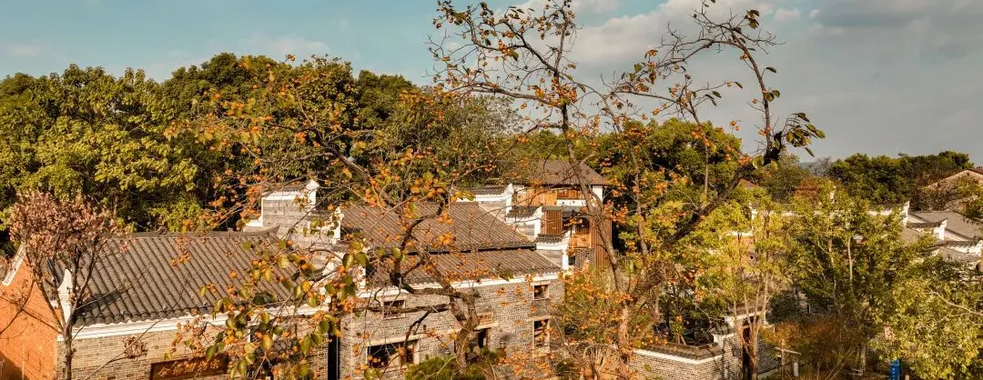 Fall Viewing Attractions