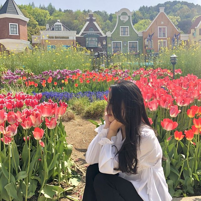 에버랜드 튤립축제