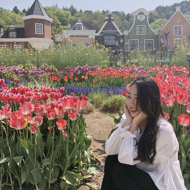 에버랜드 튤립축제