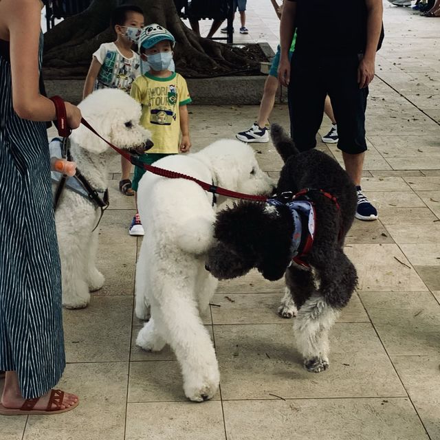 浪漫嘅赤柱