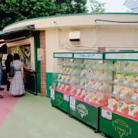東京タワーのマリオンクレープ