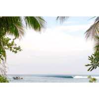 Mentawai Island