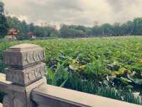 Green Lake in Kunming