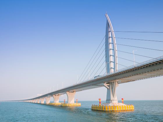 HongKong-Zhuhai-Macao Bridge Tour