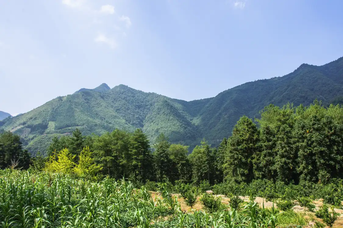 Hotels near Nanling National Forest Park