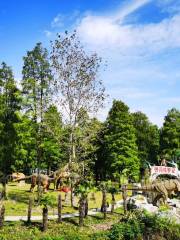 Donghu Wetland Park