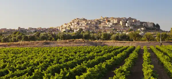 ALANNIA RESORTS Properties in Province of Tarragona