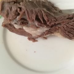 库车阿力木夹馅面食馆 User Photo