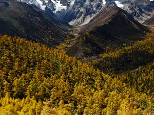 Popular Fall Viewing Attractions in Deqin