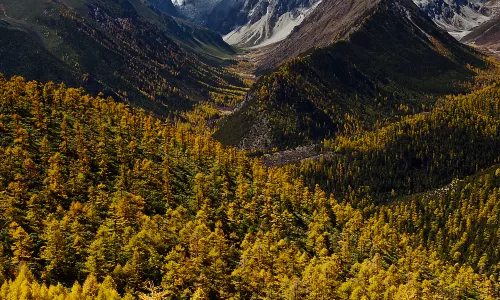 Baima Sonw Mountain