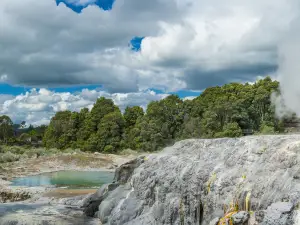 Whakarewarewa Thermal Village