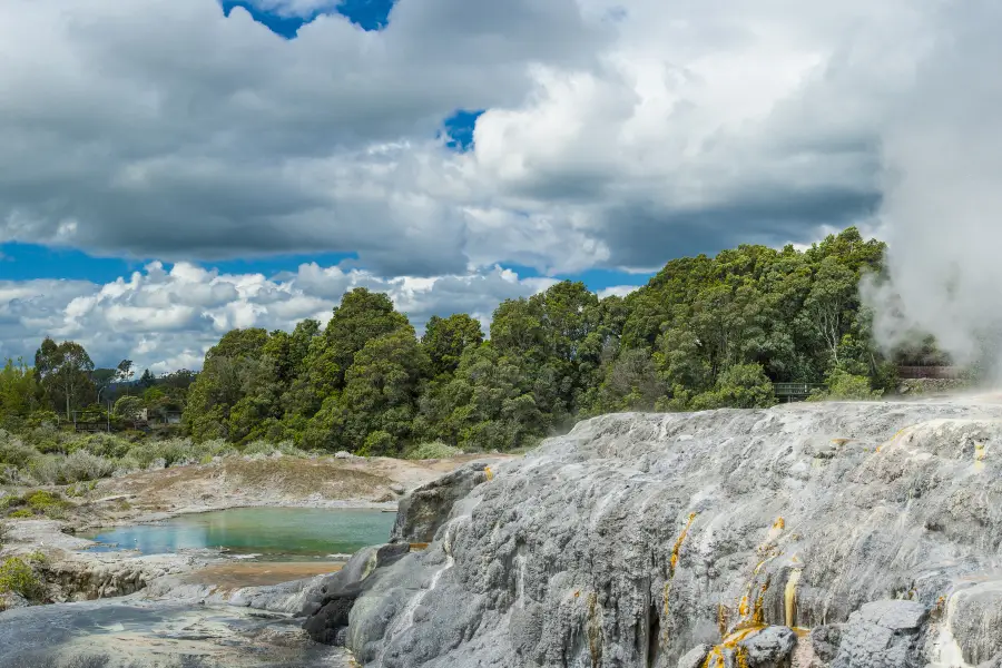 Whakarewarewa Thermal Village