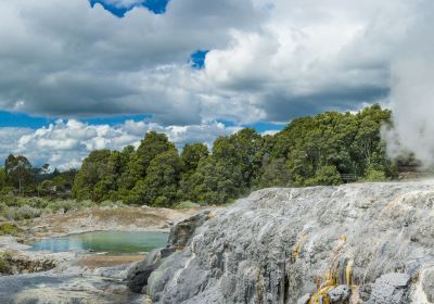 Whakarewarewa Thermal Village