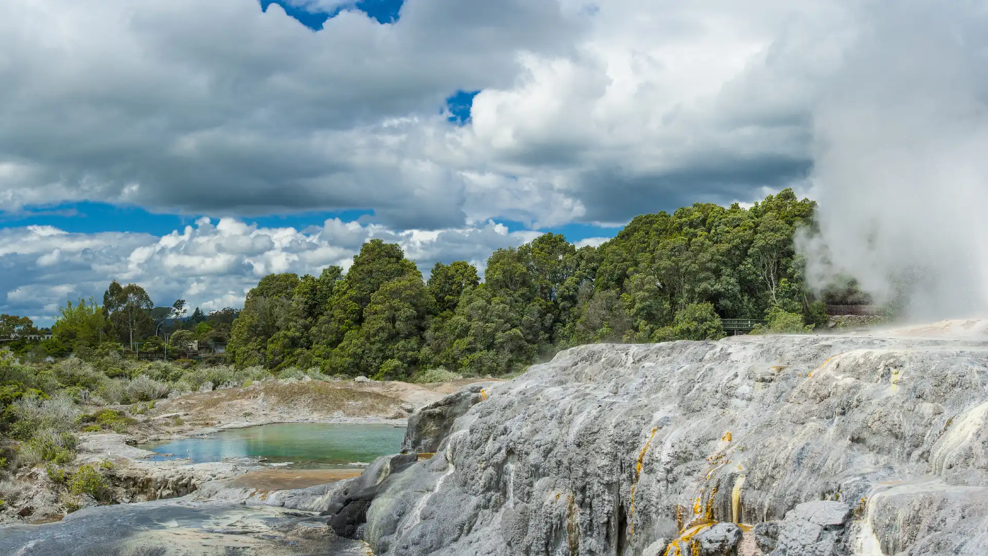 Hotels in de buurt van Whakarewarewa Thermal Reserve