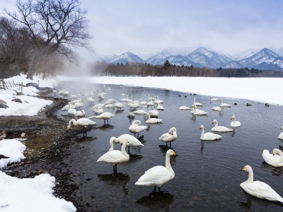 屈斜路湖 砂湯