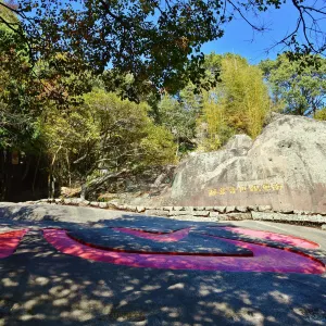 舟山市普陀山風景區-心字石