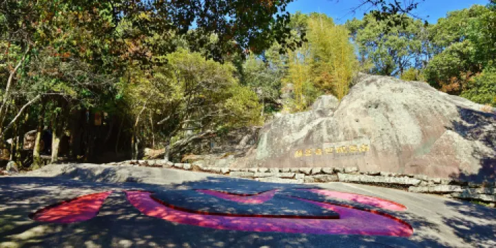 舟山市普陀山風景區-心字石