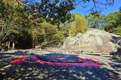 Mount Putuo Scenic Area - Xinzi Rock