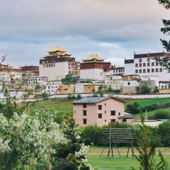 拉萨松赞林卡酒店·餐厅 User Photo