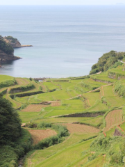 浜野浦の棚田 展望台