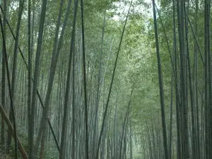 西山公園