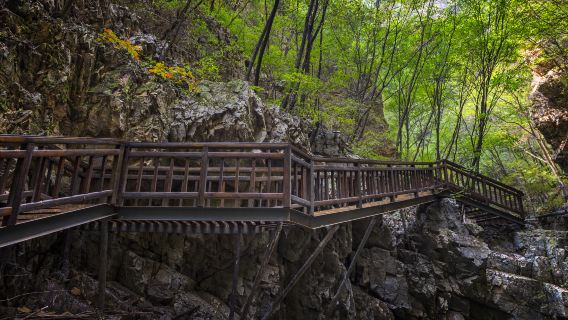Tianzi Mountain