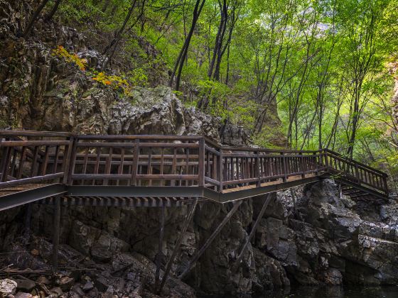 Tianzi Mountain