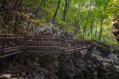 Tianzi Mountain