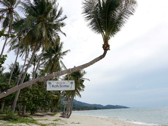 Pantai Cenang