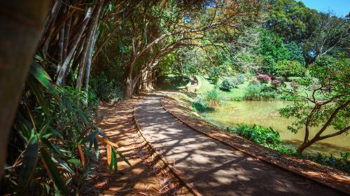 Perdana Botanical Garden