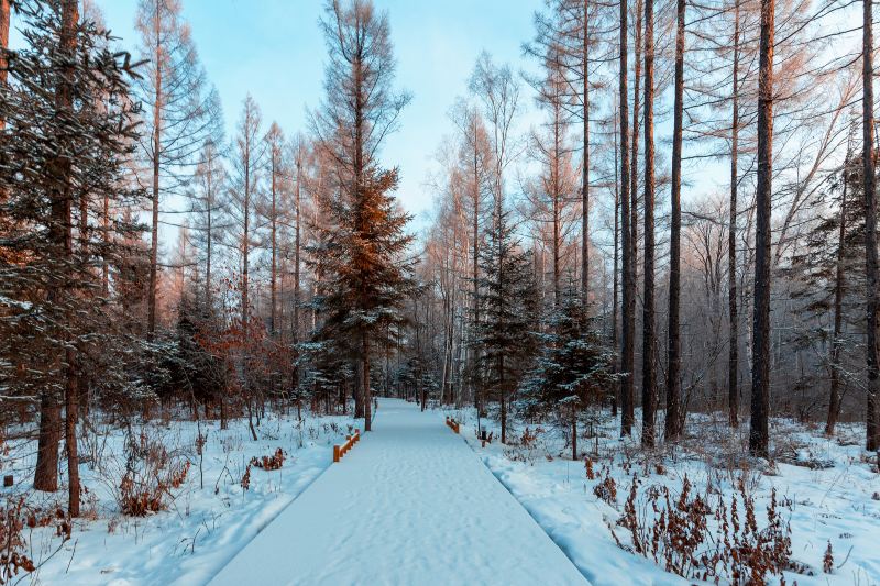 Ounasvaara Ski Centre