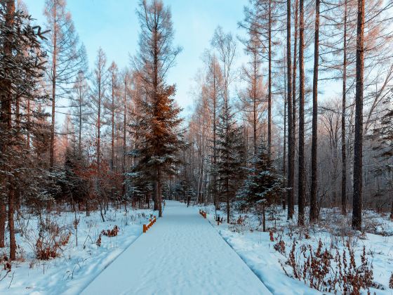 Ounasvaara Ski Centre