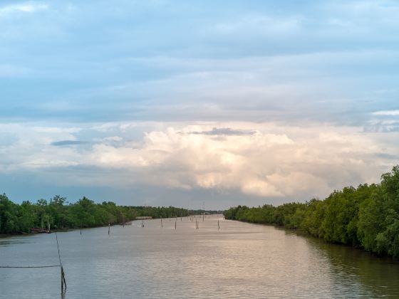 Kawa-kawa River Cruise