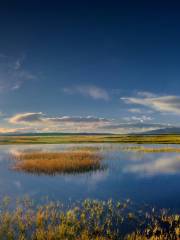 Manasarovar Wetland