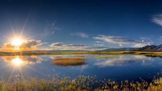 Manasarovar Wetland