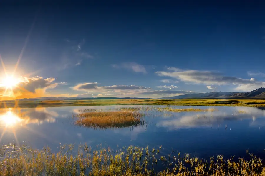 Manasarovar Wetland