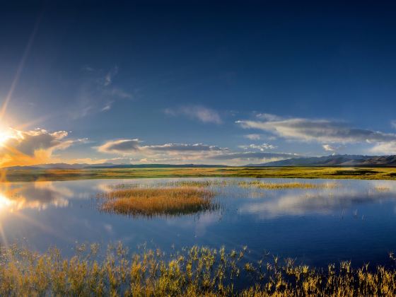 Manasarovar Wetland