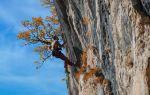 Railay攀岩體驗