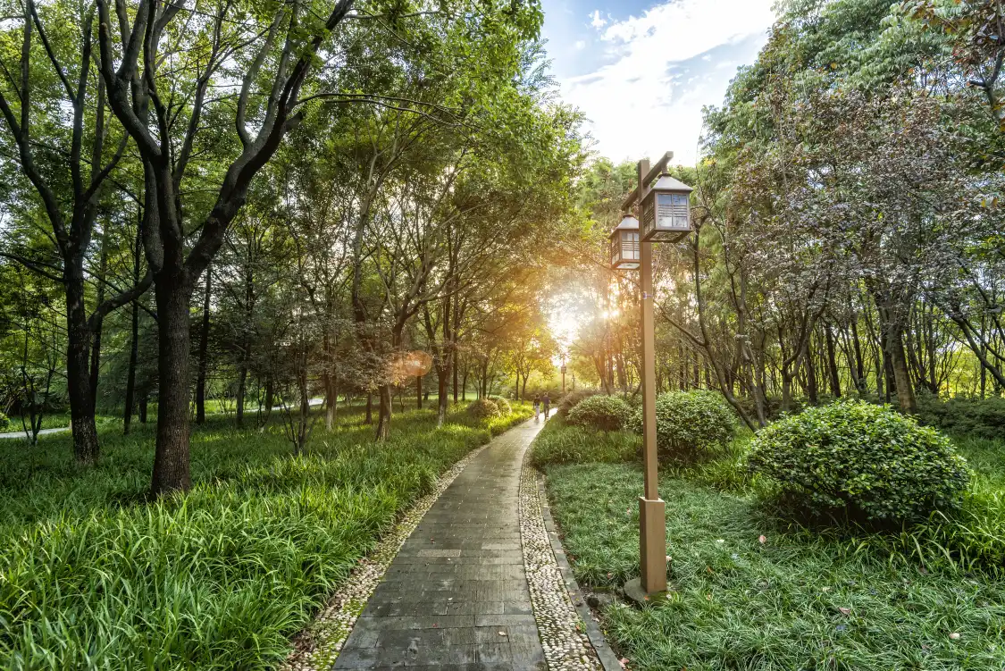 비윈 레저 스포츠 파크 주변 호텔